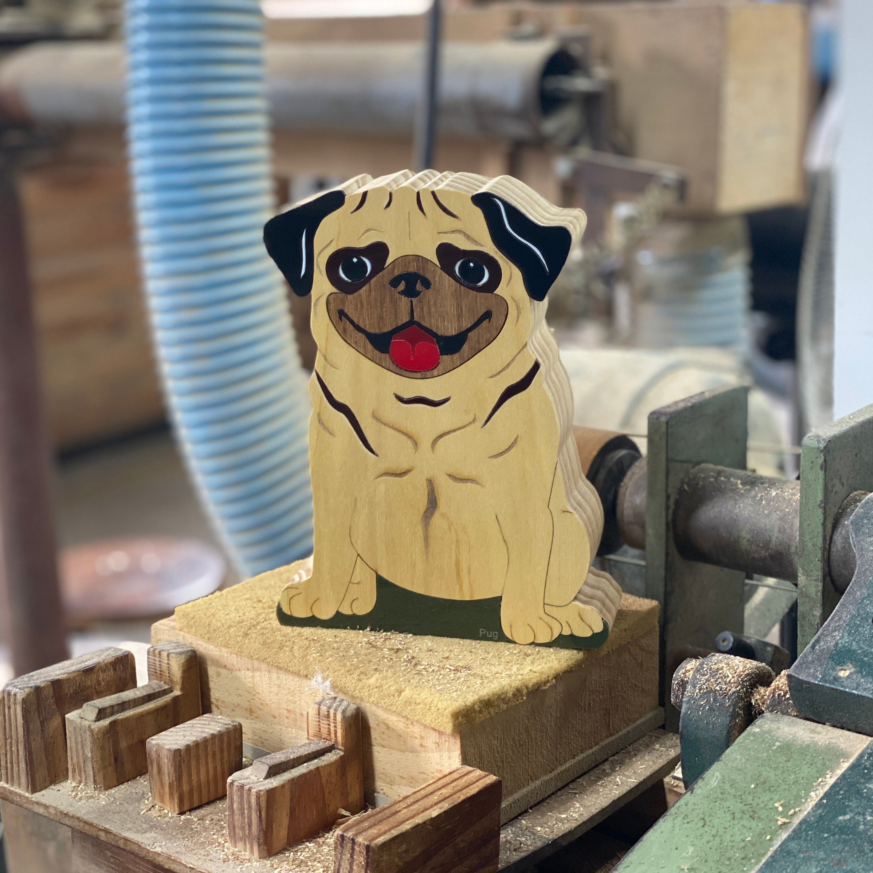 Cachorro Cloé Pug