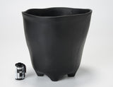 Bowl Quadri