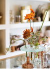 Vaso Gota Transparente