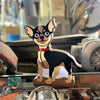 Cachorro Fifi Chihuahua