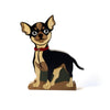 Cachorro Fifi Chihuahua